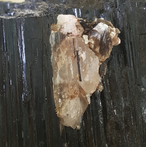 Tourmaline Raw Crystal With Quartz Cluster - Picture 6 of 6